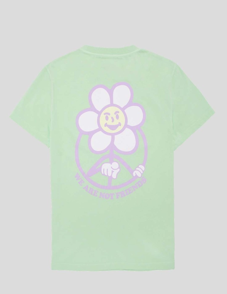 T-shirt Non siamo amici margherite mela tee verde